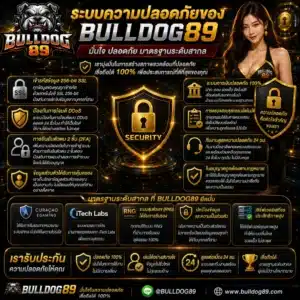 ระบบความปลอดภัยของ Bulldog89 ดีอย่างไร_ รวมข้อมูลที่ควรรู้ก่อนใช้งาน